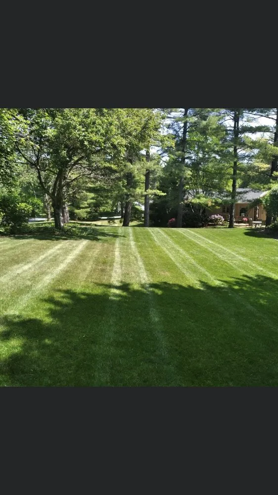 Professional lawn care service for outdoor upgrades in Emmaus, PA by Hollinger’s Lawn Service