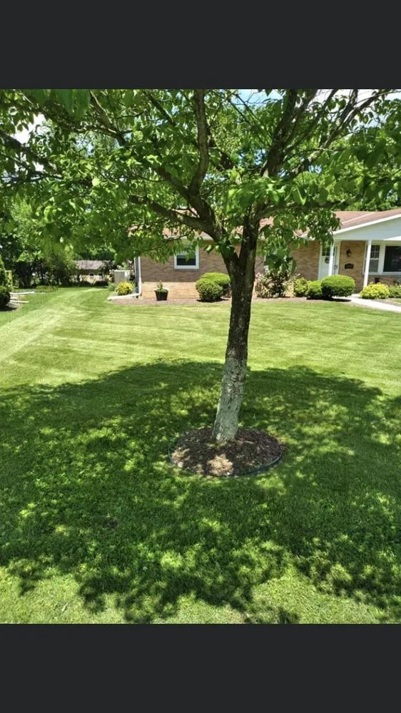 Expert lawn care service with custom design in Emmaus, PA by Hollinger’s Lawn Service