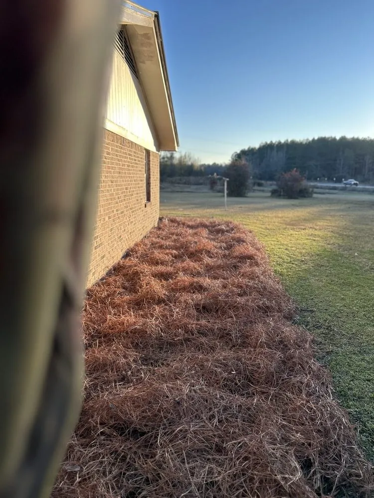 Top-rated outdoor landscaping in Decatur, MS by Hollingsworth Landscaping