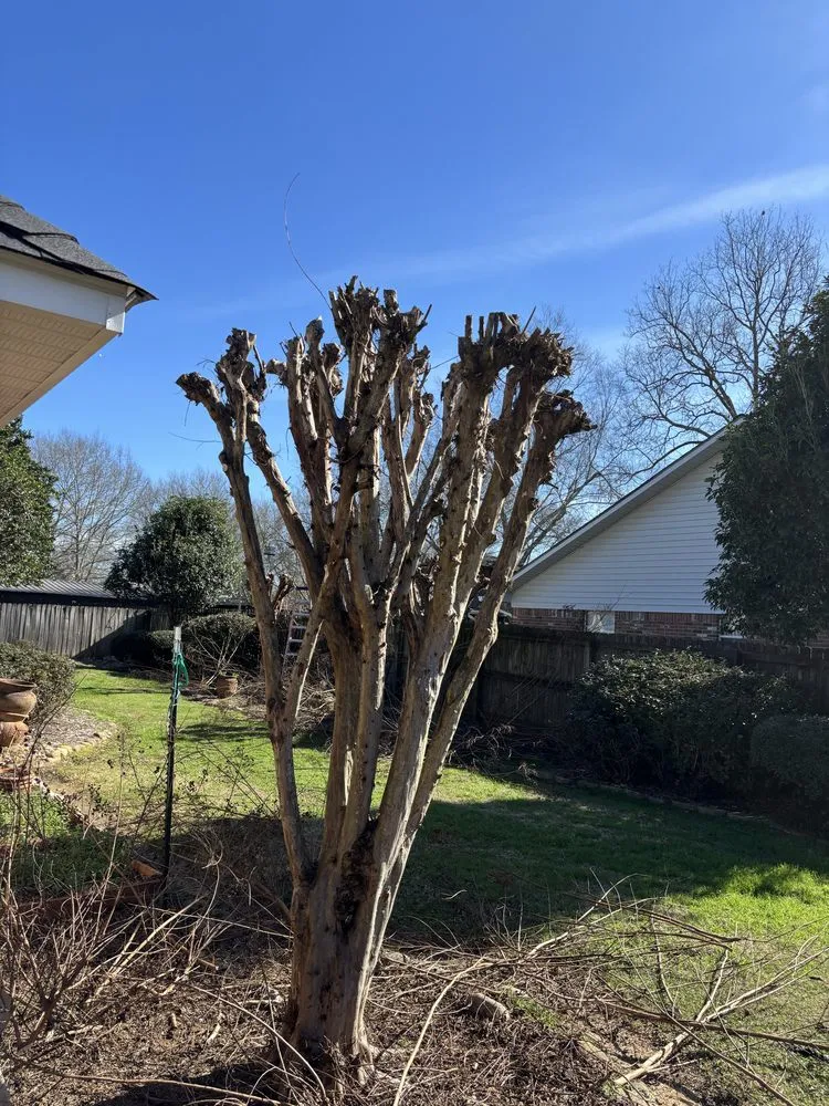 Custom garden landscaping in Decatur, MS by Hollingsworth Landscaping