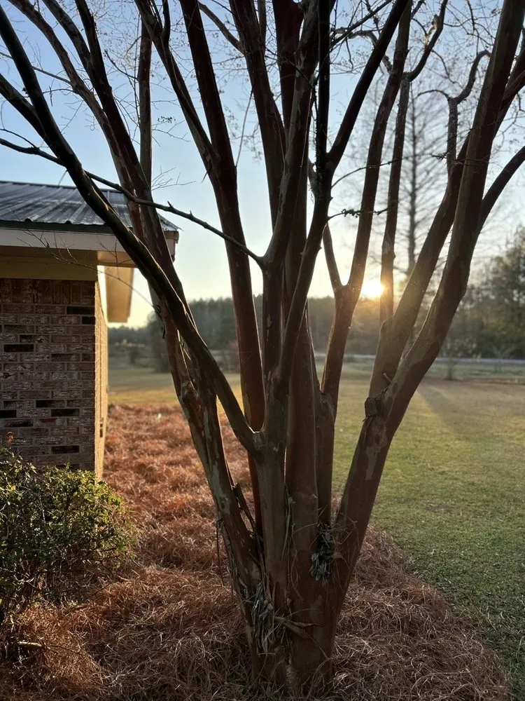 Professional landscaping services experts serving Decatur, MS - Hollingsworth Landscaping