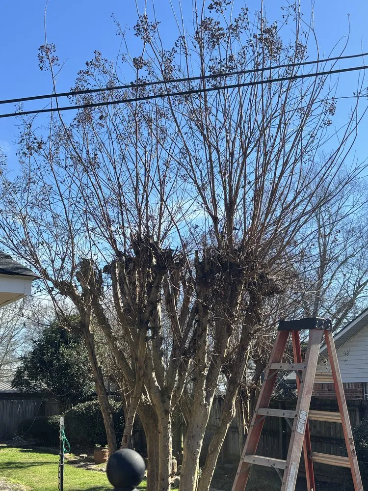 Top-rated lawn care service experts serving Decatur, MS - Hollingsworth Landscaping