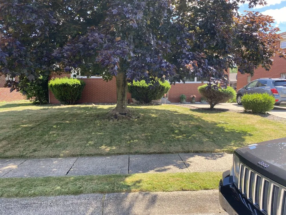 Trusted yard maintenance near you in Aliquippa, PA by Hollins Handy Work