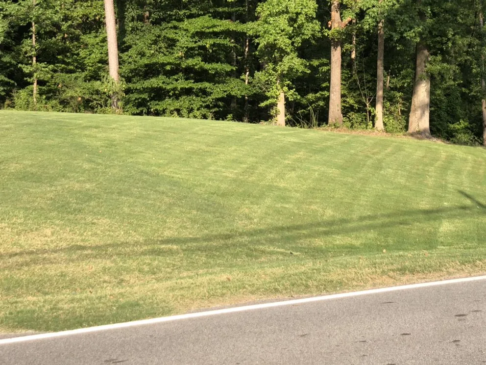 Reliable landscaping services in Gainesville, GA by Hollis Lawn Service