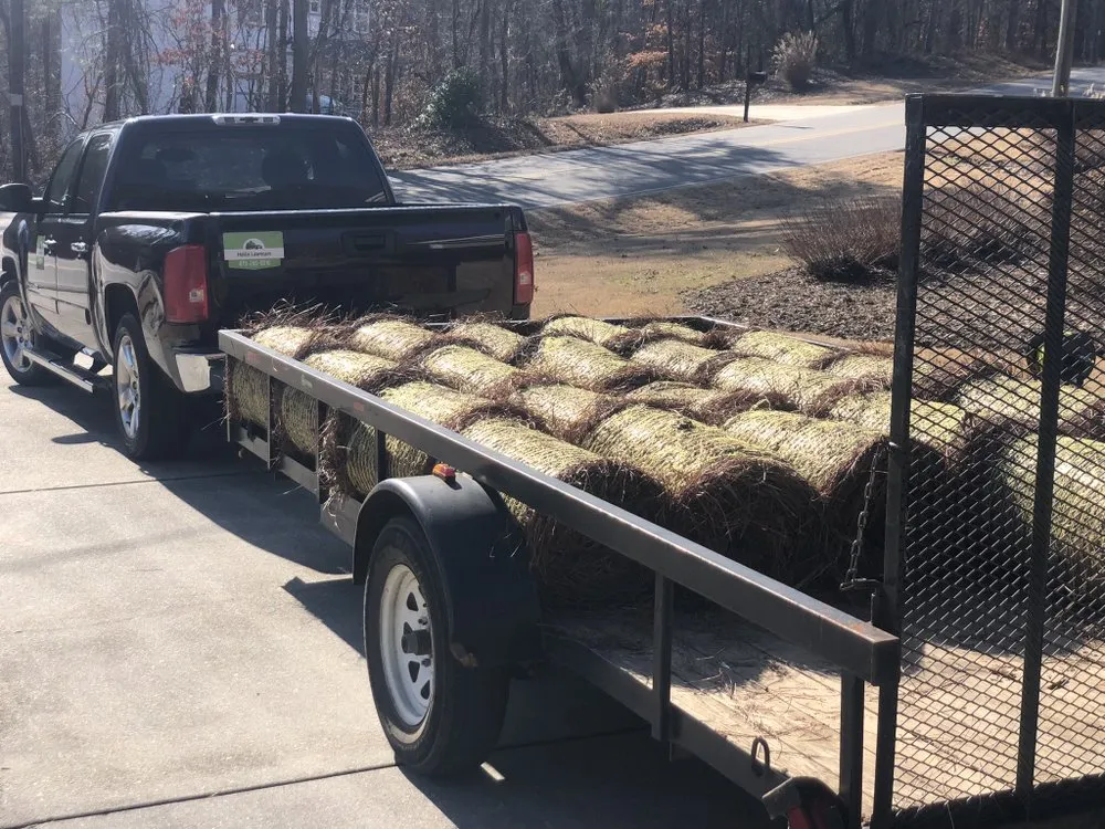 Professional lawn care service in Gainesville, GA by Hollis Lawn Service