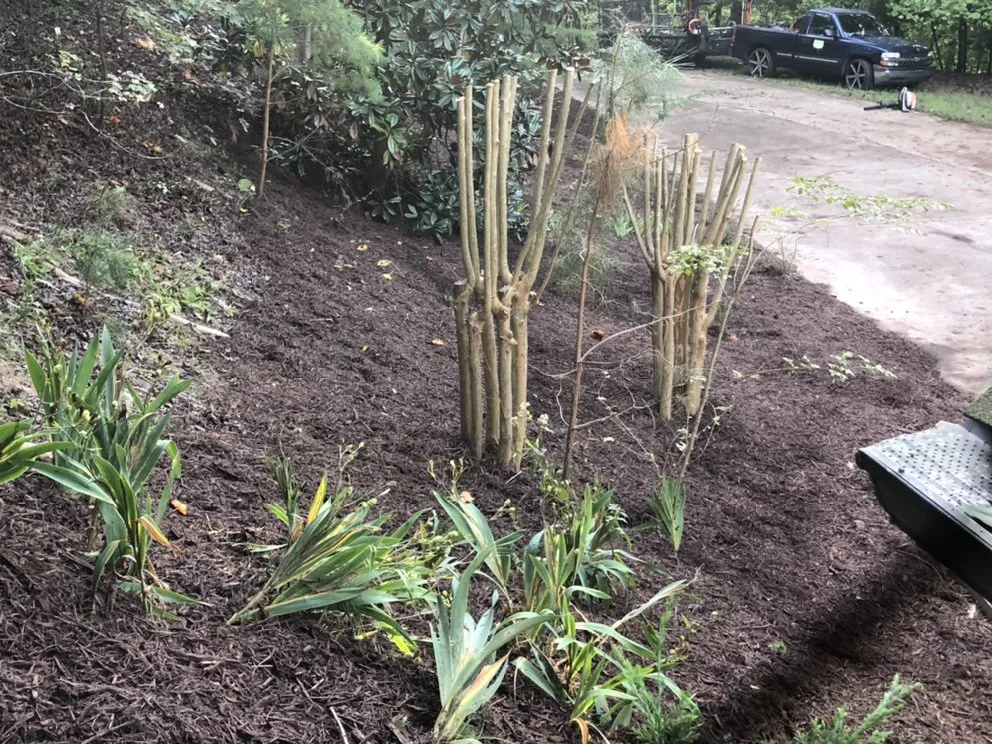 Expert landscape installation for beautiful yards in Gainesville, GA by Hollis Lawn Service