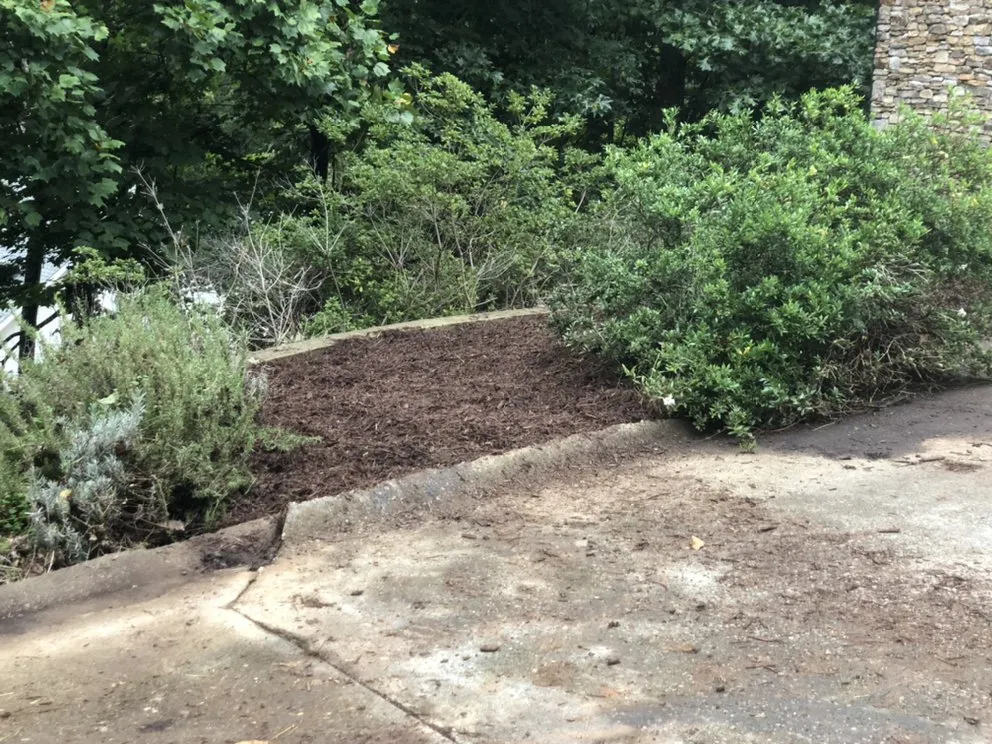 Reliable landscape installation for outdoor upgrades in Gainesville, GA by Hollis Lawn Service