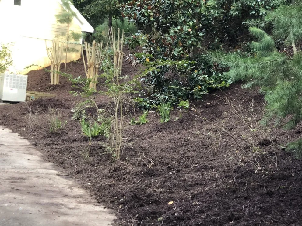 Affordable lawn care service in Gainesville, GA by Hollis Lawn Service