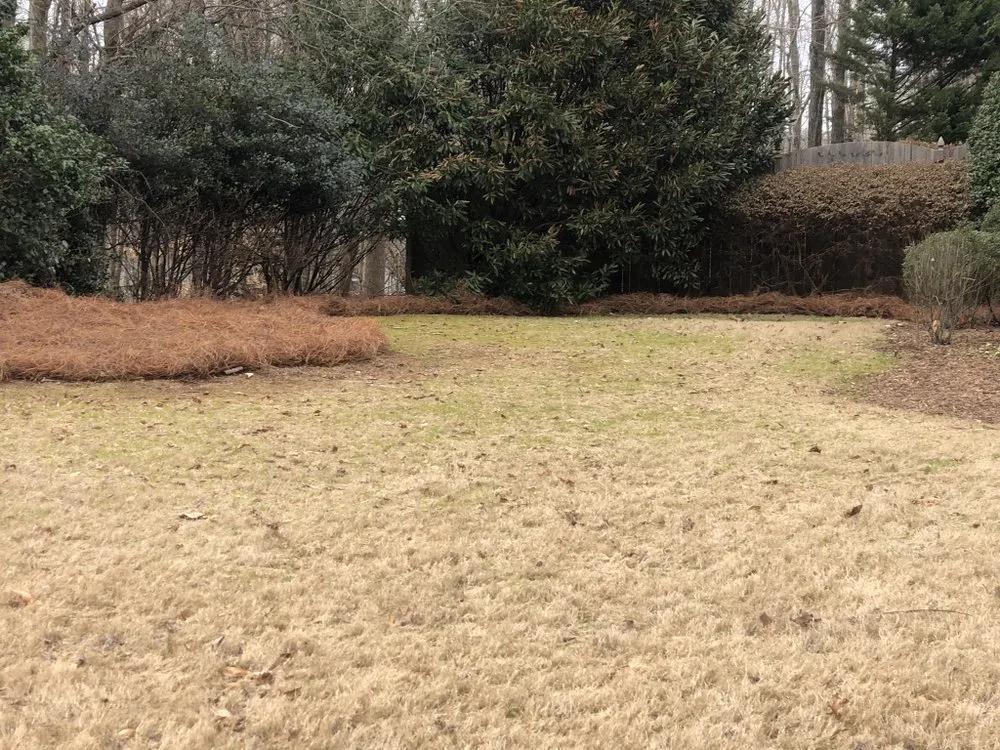 Professional lawn mowing service with custom design across Gainesville, GA - Hollis Lawn Service