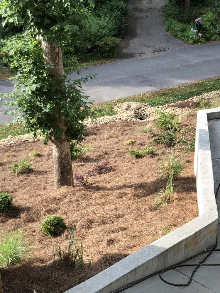 Affordable yard cleanup service for year-round maintenance across Gainesville, GA - Hollis Lawn Service