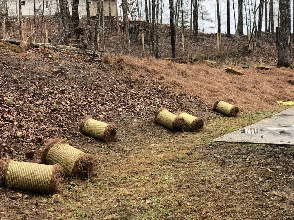 Trusted lawn mowing service experts serving Gainesville, GA - Hollis Lawn Service