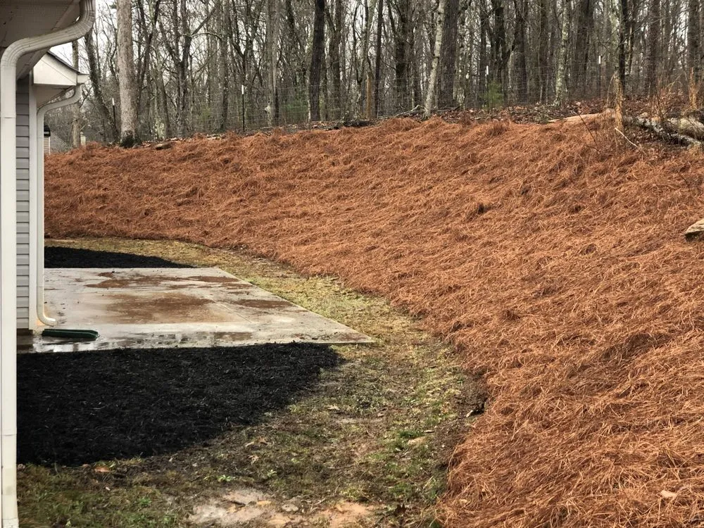 Top-rated landscaping services for beautiful yards in Gainesville, GA by Hollis Lawn Service