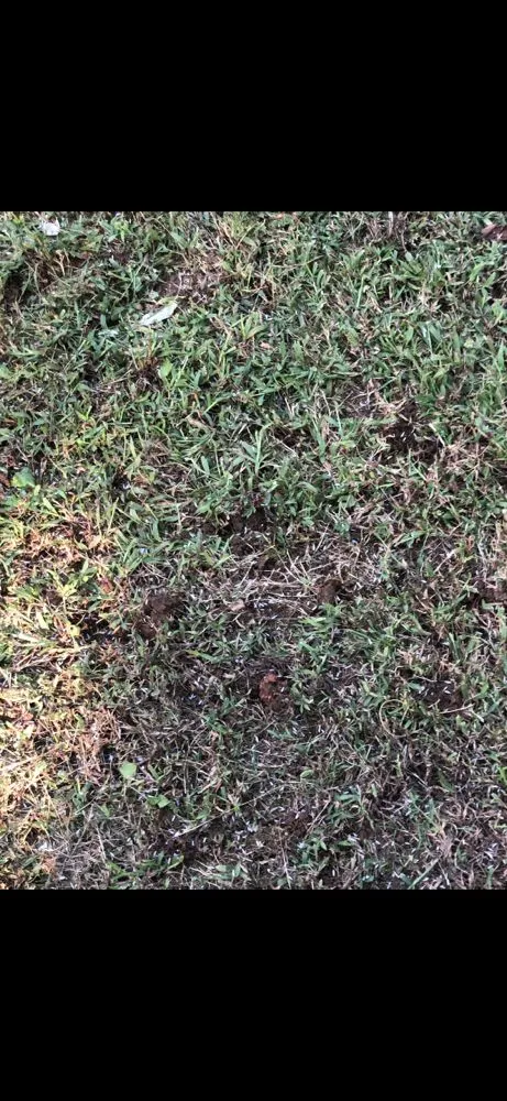 Custom landscape installation for homes across Gainesville, GA - Hollis Lawn Service