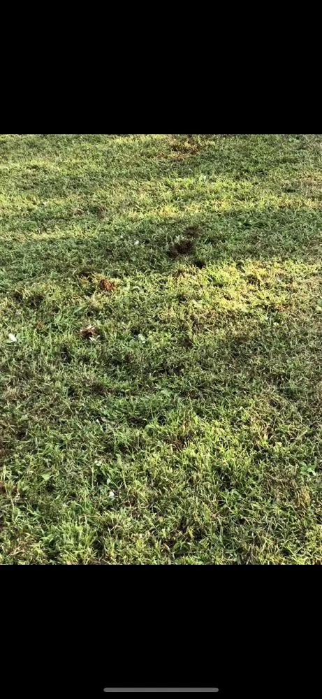 Custom residential landscaping for homes across Gainesville, GA - Hollis Lawn Service