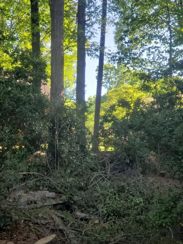 Custom landscape installation in Acworth, GA by Hollister Tree Services