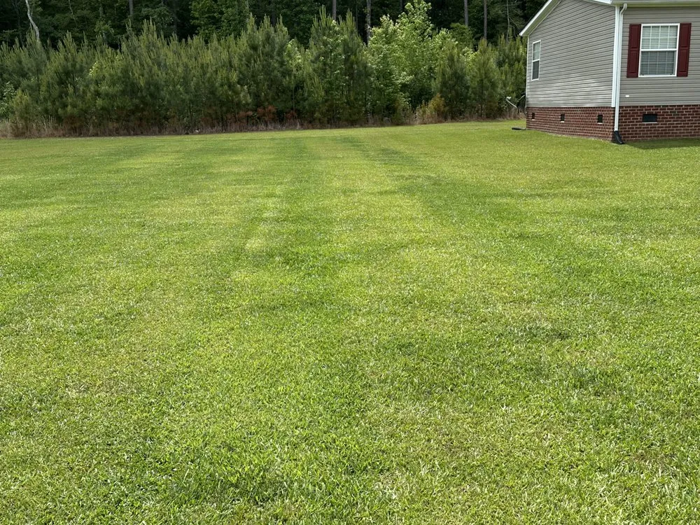 Trusted lawn mowing service experts serving Murfreesboro, NC - Holloman Lawn Care Services