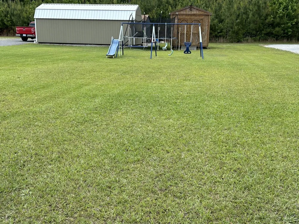 Top-rated landscaping services for year-round maintenance in Murfreesboro, NC by Holloman Lawn Care Services