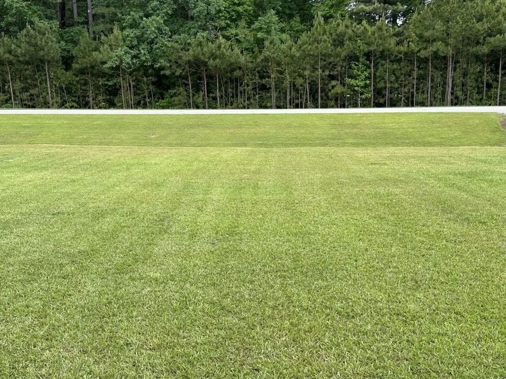 Trusted residential landscaping for homes in Murfreesboro, NC by Holloman Lawn Care Services