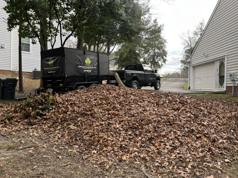 Local yard cleanup service in Hanover, VA - Holloman’s Lawn Service