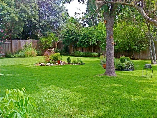 Hollon Grass Lawncare Logo