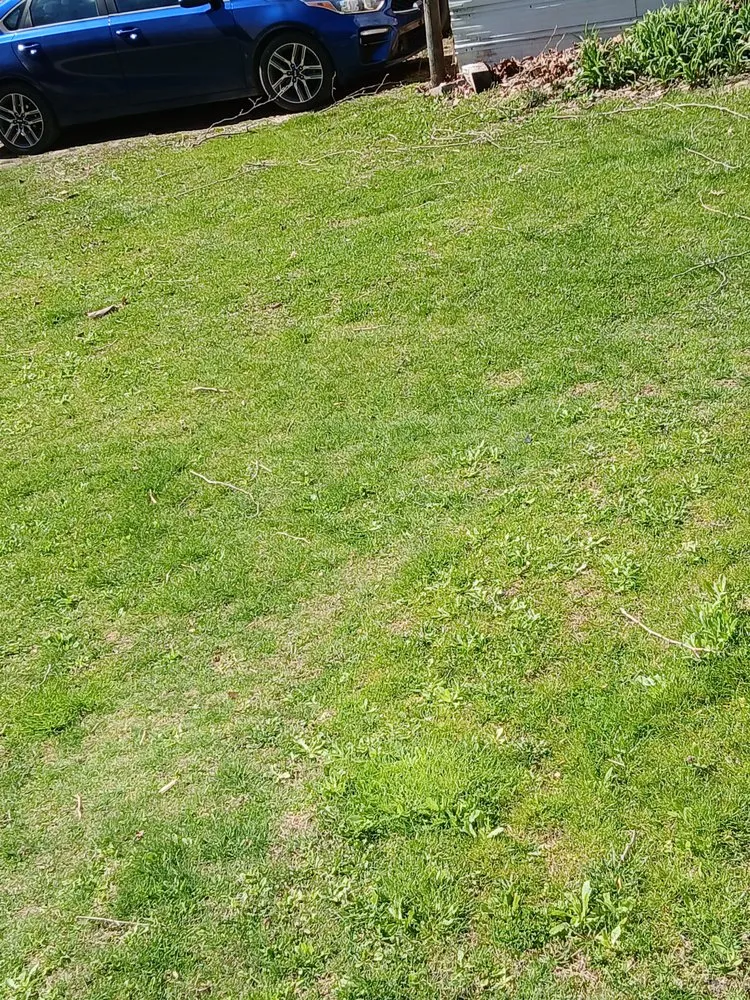 Trusted yard maintenance experts serving Clearfield, KY - Hollow Lawn Care