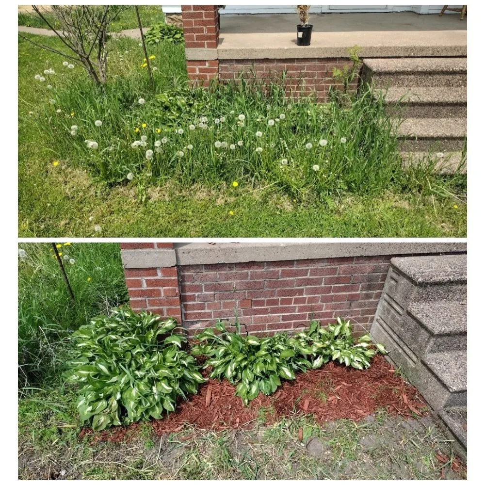 Expert outdoor landscaping for beautiful yards across Menomonie, WI - Hollow Oak Landscaping