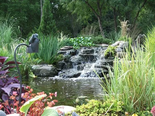 Top-rated landscape installation experts serving Ambler, PA - Holly Days Nursery, Garden Center, & Landscaping