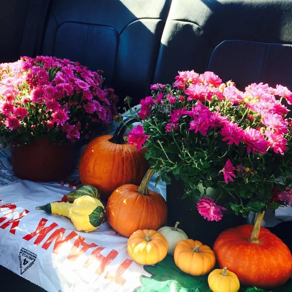 Local landscape installation in Ambler, PA by Holly Days Nursery, Garden Center, & Landscaping