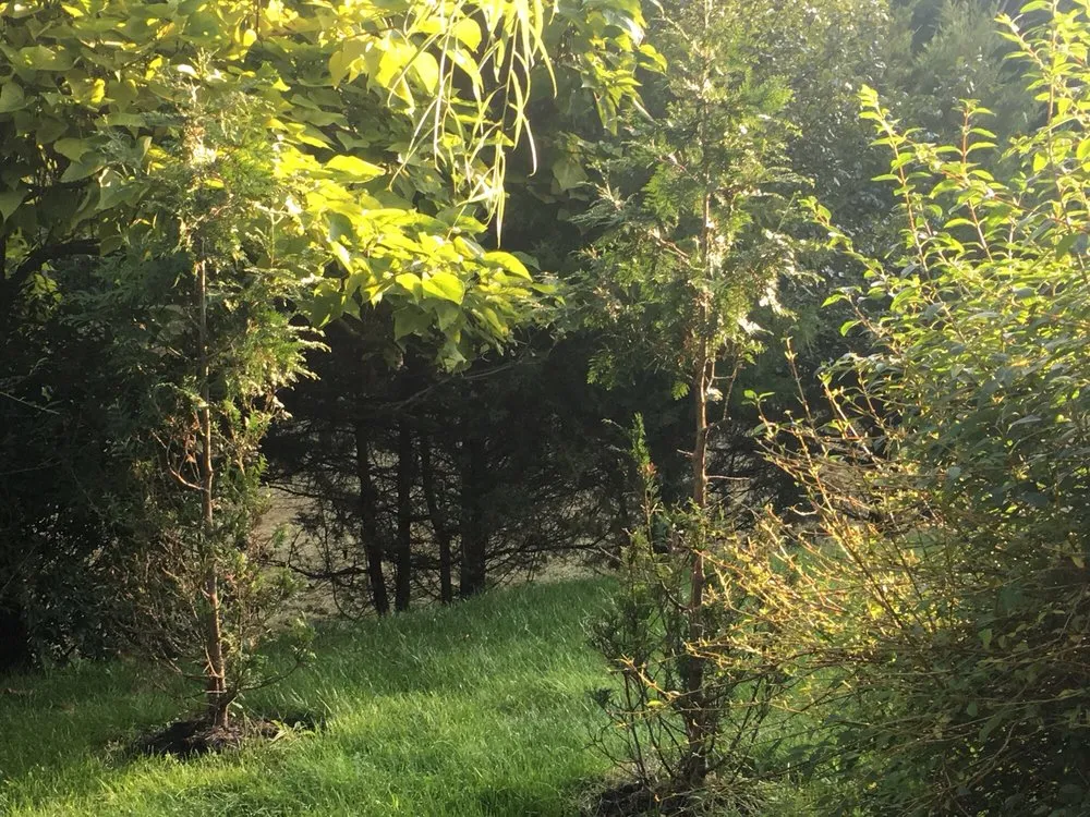 Expert yard cleanup service in Ambler, PA - Holly Days Nursery, Garden Center, & Landscaping