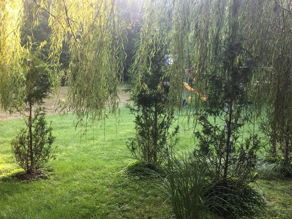 Custom lawn mowing service for year-round maintenance in Ambler, PA by Holly Days Nursery, Garden Center, & Landscaping