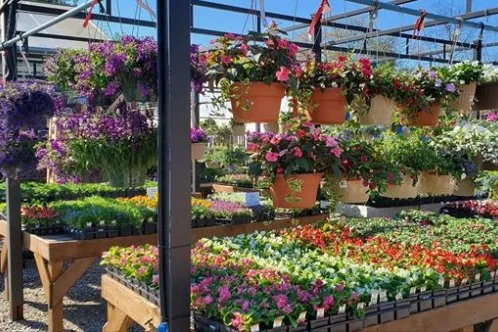 Affordable landscape installation near you across Ambler, PA - Holly Days Nursery, Garden Center, & Landscaping