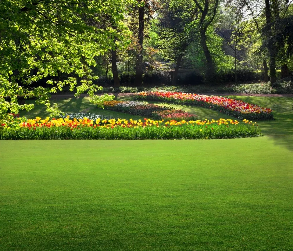 Reliable landscape installation in Holly Ridge, NC - Holly Greens Minded