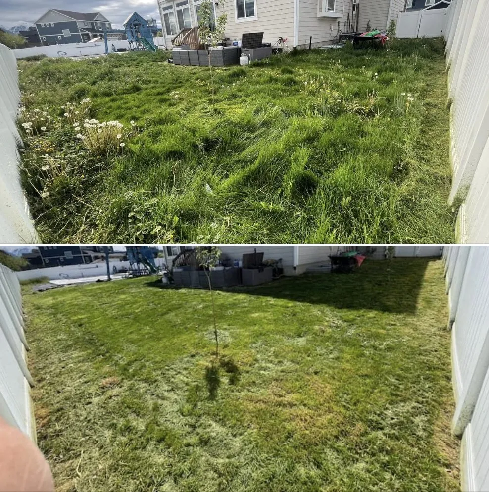 Professional garden landscaping with custom design in Clearfield, UT by Holly Haven Lawn Care