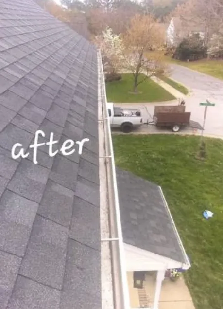 Reliable landscaping services in Apex, NC - Holly lawn care