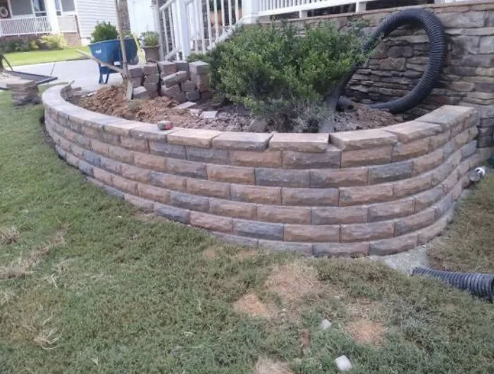 Reliable yard cleanup service in Apex, NC - Holly lawn care