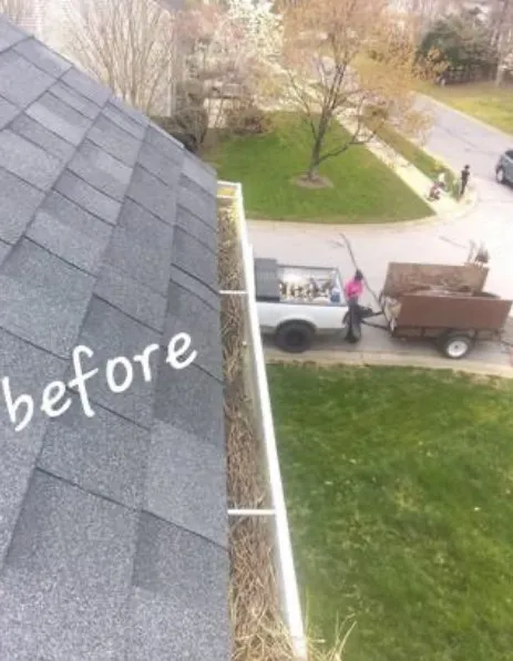 Reliable landscaping services in Apex, NC by Holly lawn care