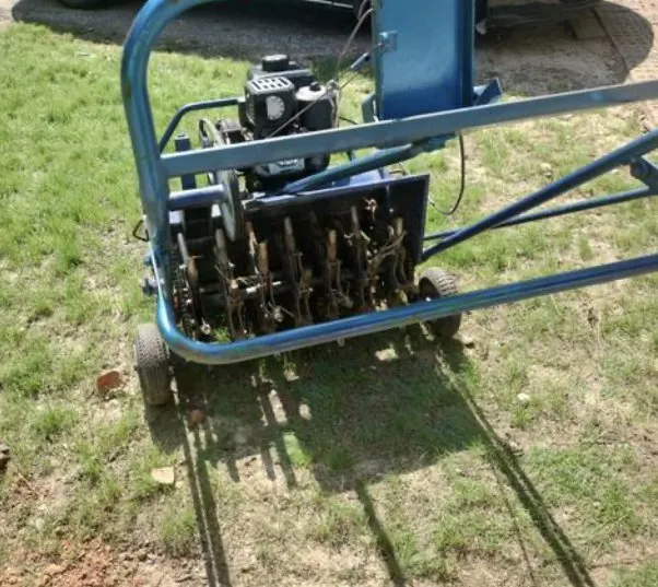 Local yard cleanup service in Apex, NC - Holly lawn care