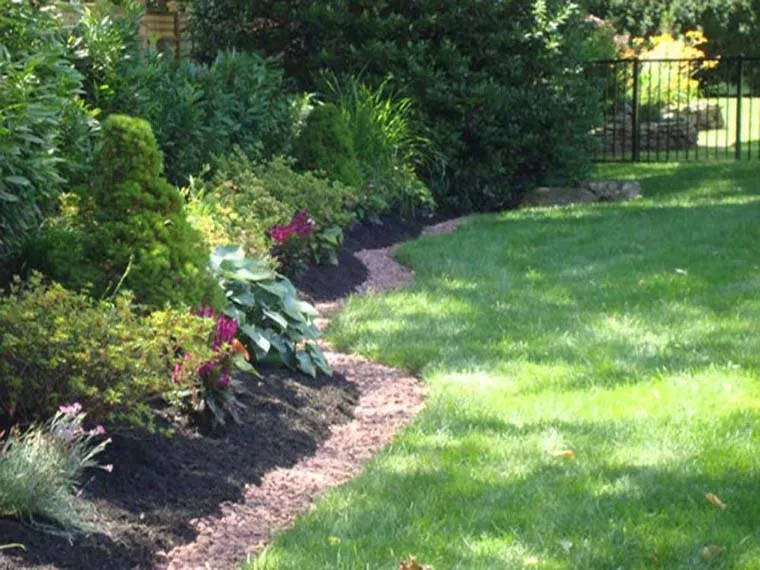 Expert yard cleanup service for homes across Bloomfield, NJ - Holly Tree Landscaping
