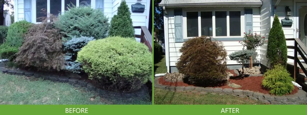 Local garden landscaping experts serving Bloomfield, NJ - Holly Tree Landscaping