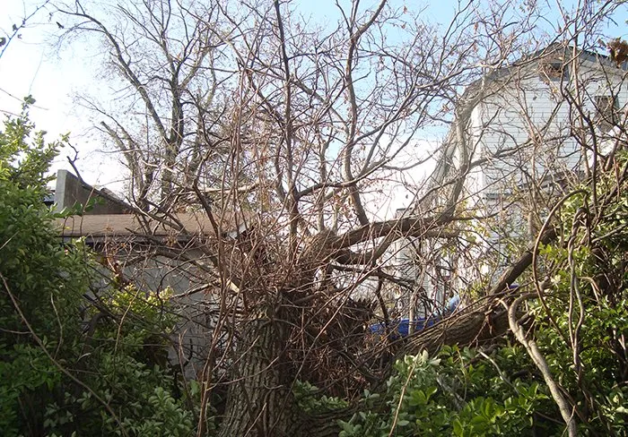 Trusted landscape installation experts serving Bloomfield, NJ - Holly Tree Landscaping