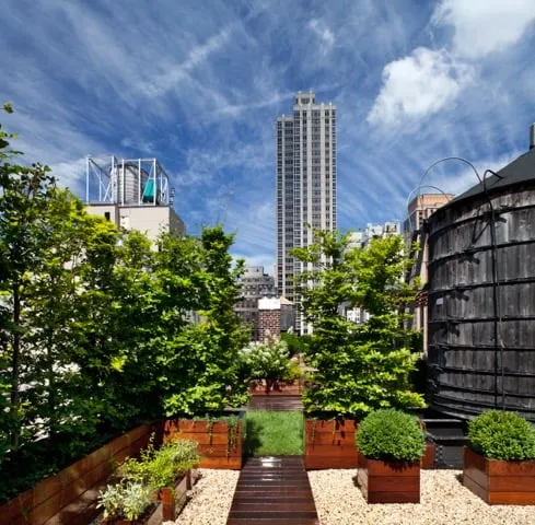 Local lawn care service in New York, NY by Holly, Wood and Vine