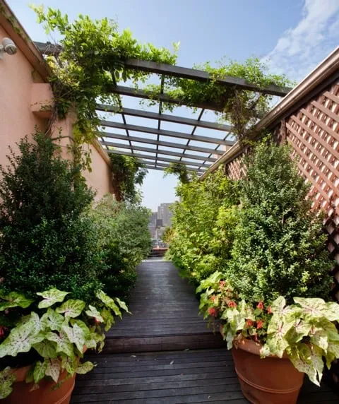 Custom garden landscaping in New York, NY by Holly, Wood and Vine