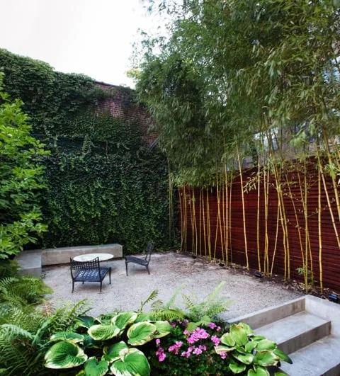 Trusted residential landscaping in New York, NY - Holly, Wood and Vine