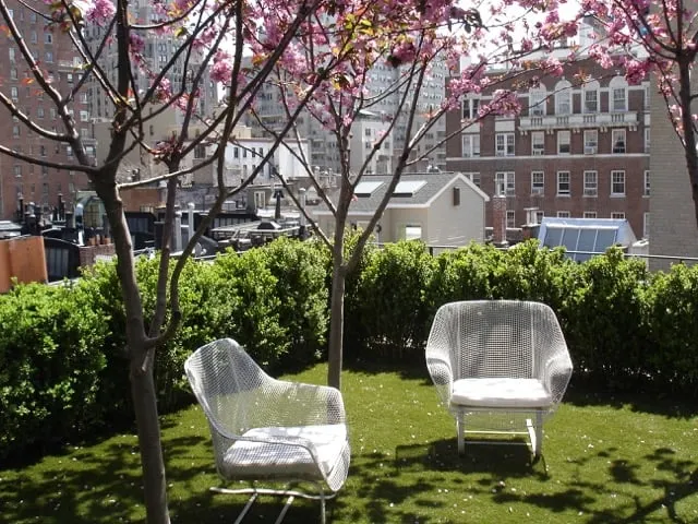 Custom yard maintenance in New York, NY - Holly, Wood and Vine