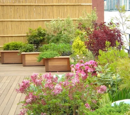 Affordable outdoor landscaping in New York, NY - Holly, Wood and Vine