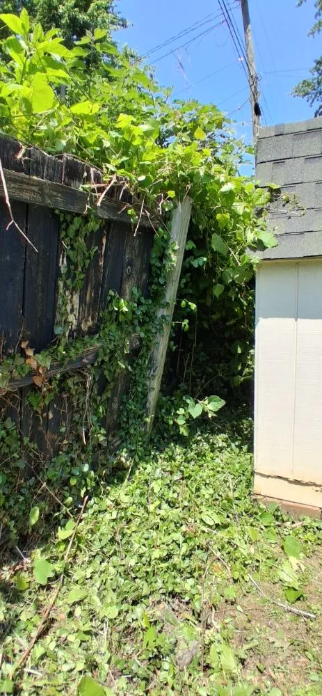 Trusted garden landscaping in Bristol, VA - Holly's Happy House Cleaning