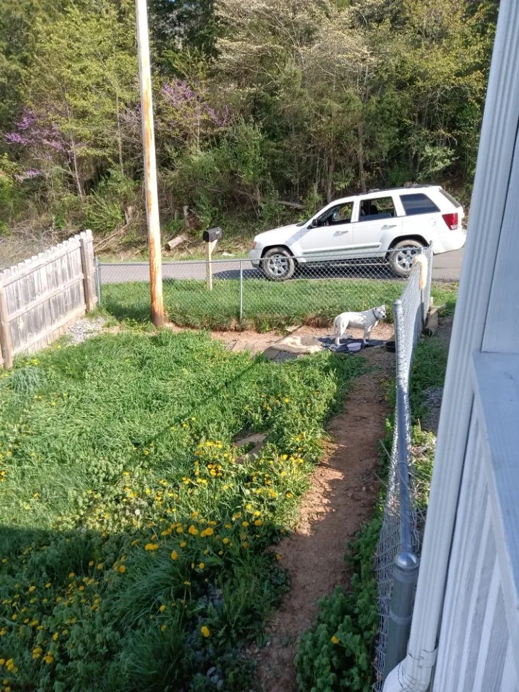 Affordable residential landscaping in Bristol, VA by Holly's Happy House Cleaning