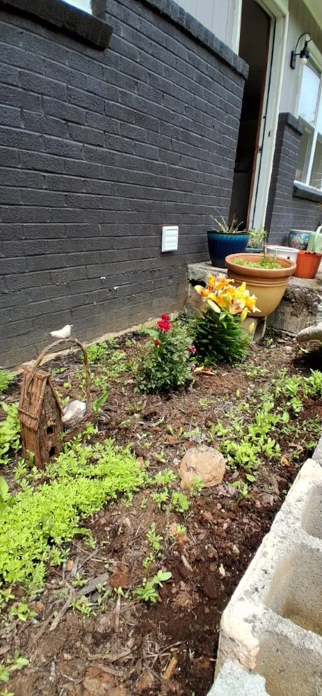 Local landscaping services for homes in Bristol, VA by Holly's Happy House Cleaning