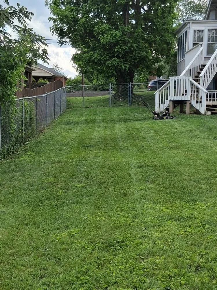 Local garden landscaping for year-round maintenance across Bristol, VA - Holly's Happy House Cleaning