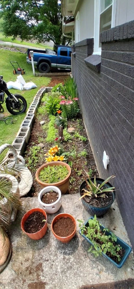 Local yard cleanup service experts serving Bristol, VA - Holly's Happy House Cleaning